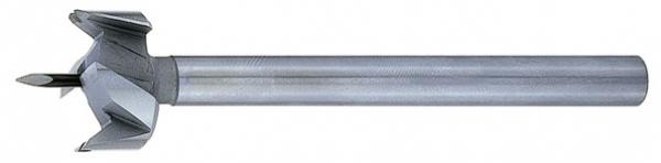 Brück Zobo Staketenbohrer SD C 20x100 762518